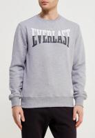 Толстовка New L сер. (арт. RE0037 L GR)